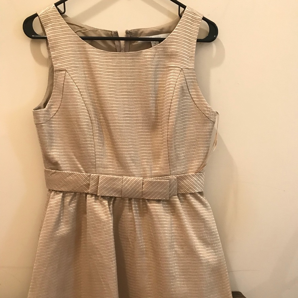 Fit and flare dress